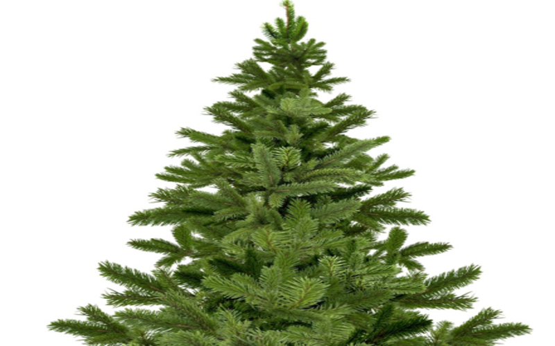 Natale