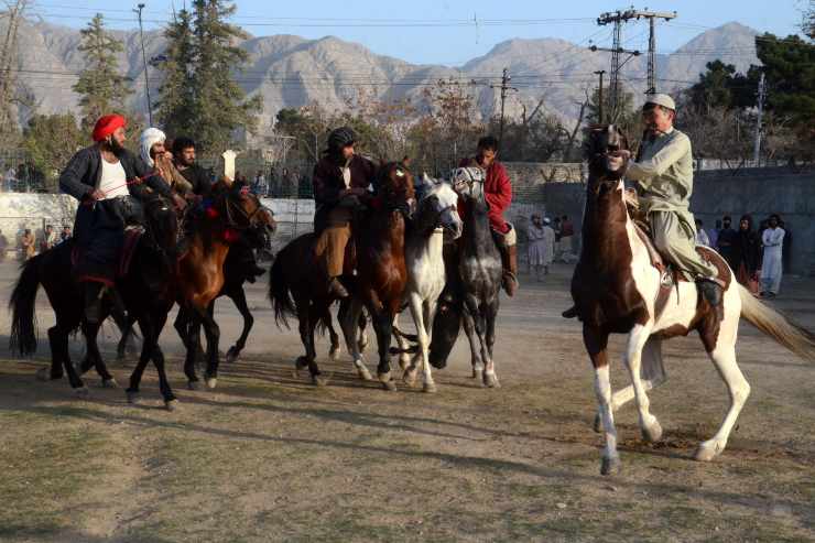 Buzkashi