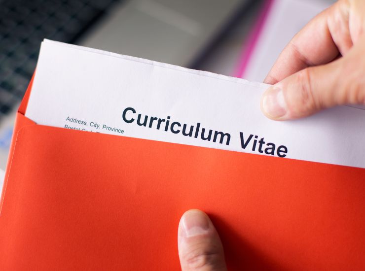curriculum efficace