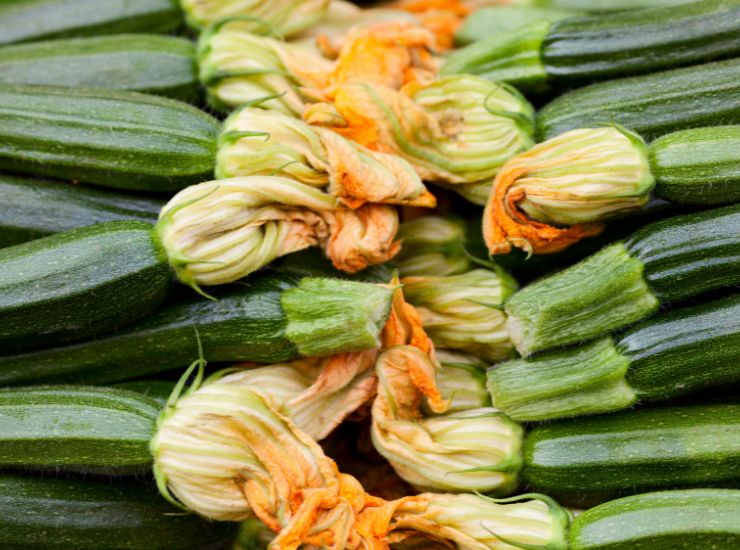 ricette sane e veloci per tutti