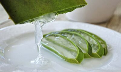 Aloe vera per la digestione: come usarla