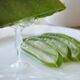 Aloe vera per la digestione: come usarla