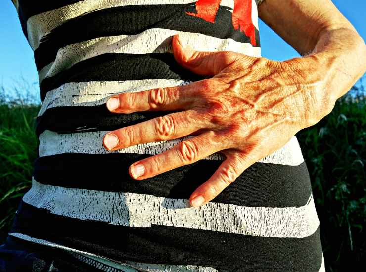 Aloe vera per la digestione: ridurre infiammazione