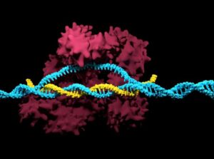 tecnologie dna mutazioni correzioni
