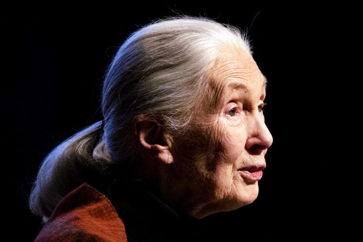 Jane Goodall Donne nella scienza empowerment femminile carriere scientifiche