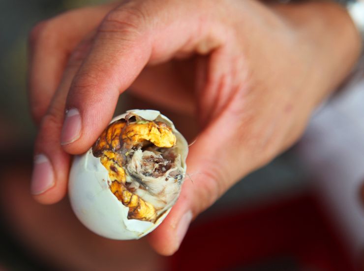 curiosità gastronomiche