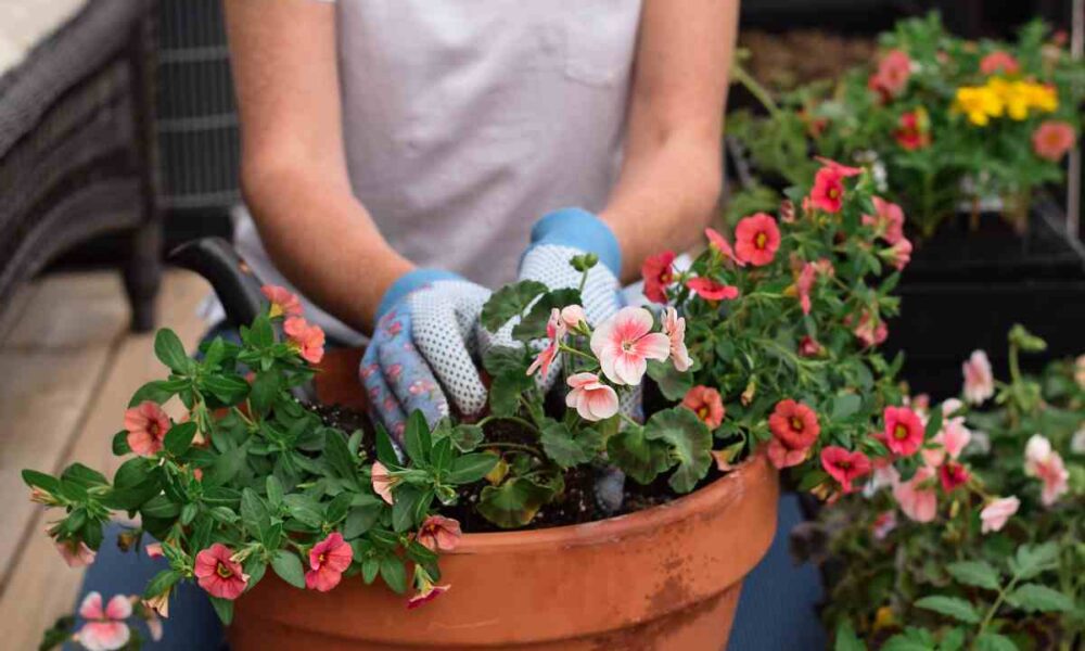 Giardino sul balcone