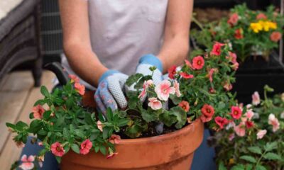 Giardino sul balcone