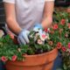 Giardino sul balcone