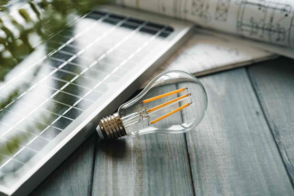 Impronta ecologica