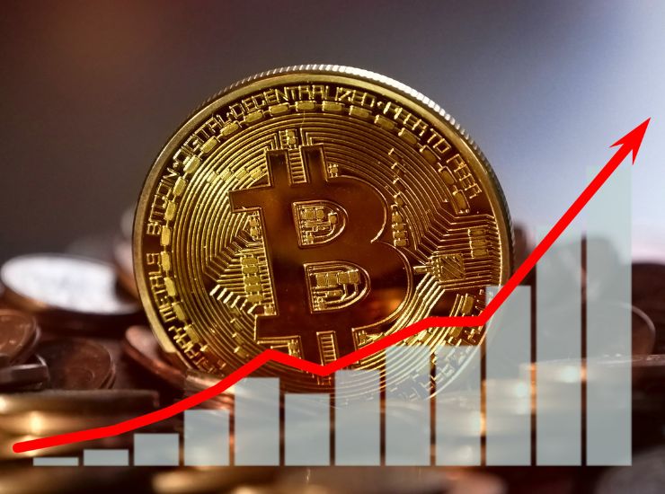 oro vs bitcoin