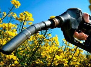 biocarburanti energie rinnovabili