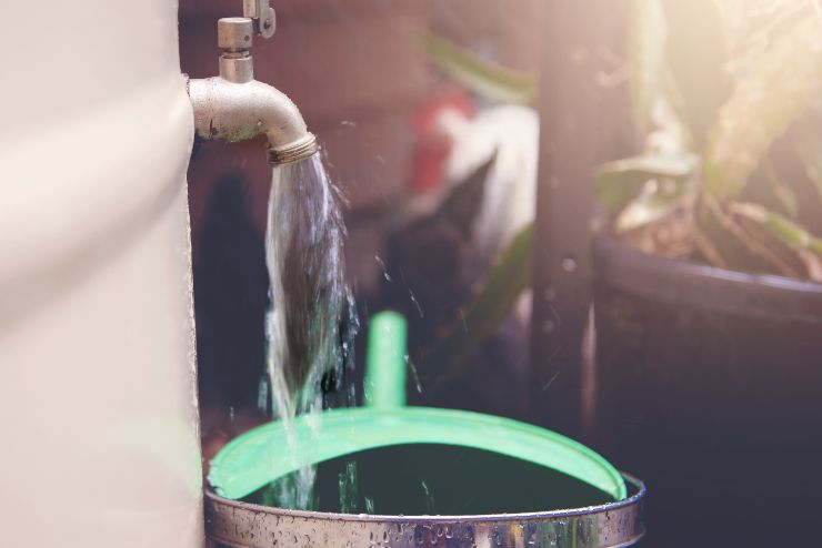 Acqua