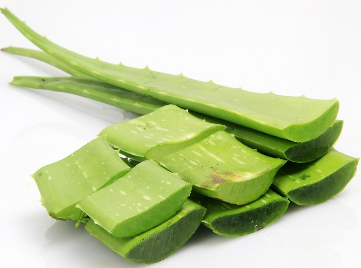 Aloe vera: colliri
