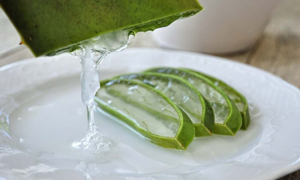 Aloe vera per la salute oculare