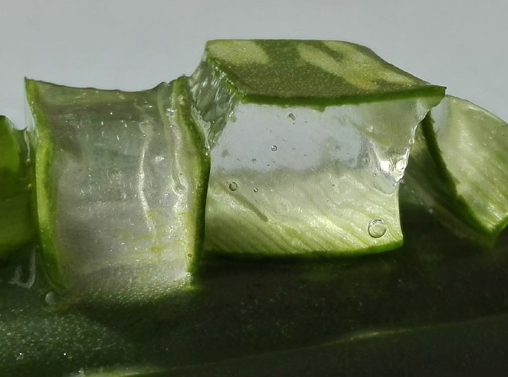 Aloe vera: idratazione