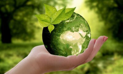 Come preservare la sostenibilità alimentare