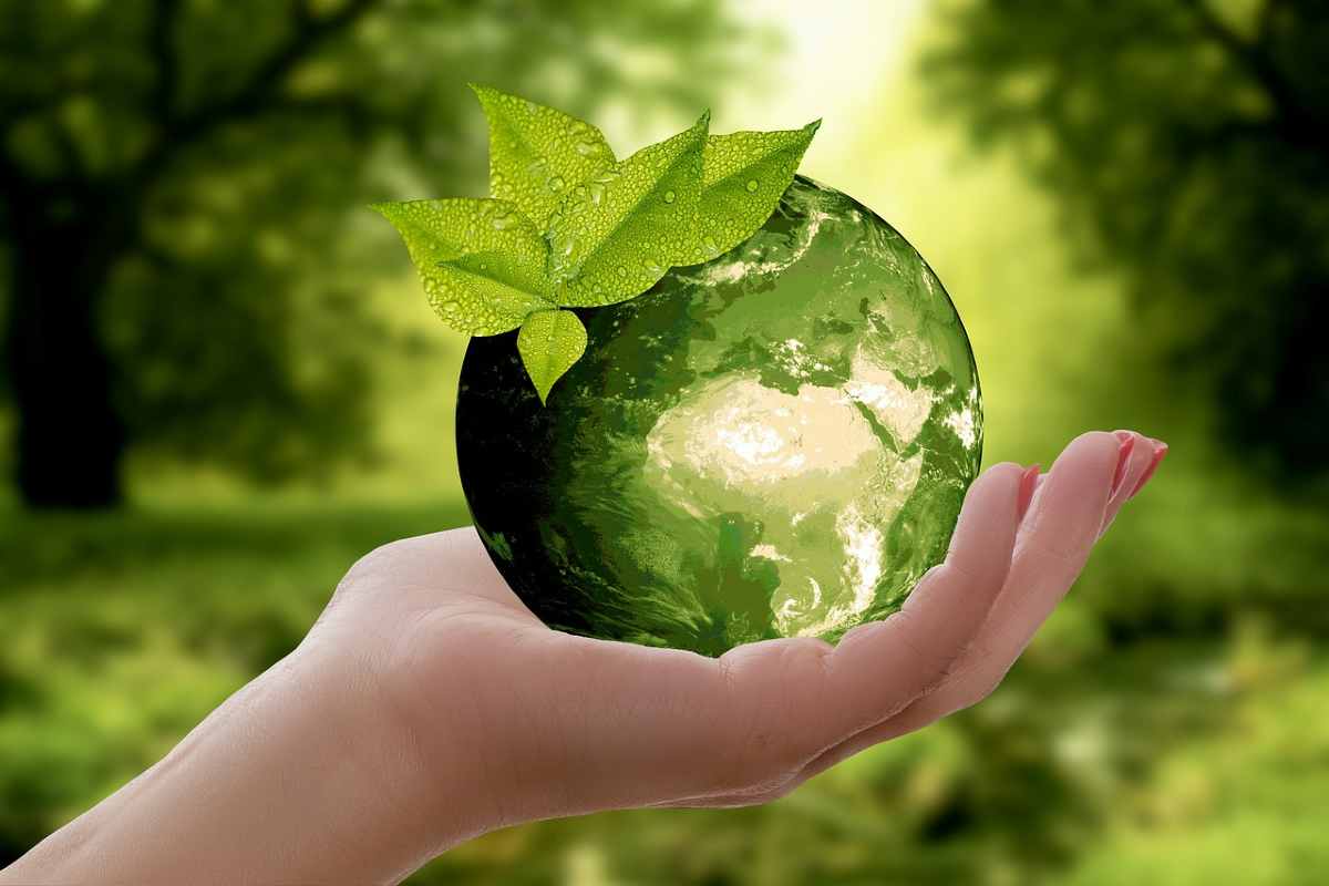 Come preservare la sostenibilità alimentare
