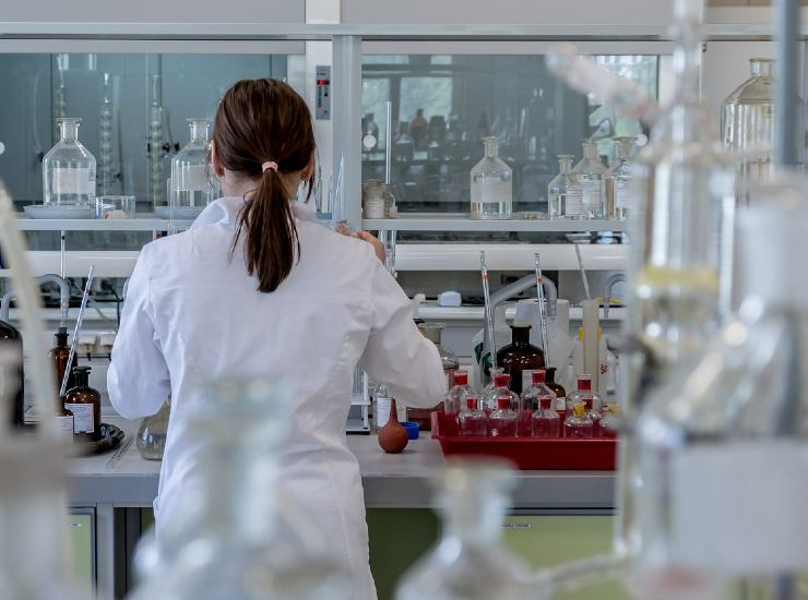 Ricerca e sviluppo per promuovere sostenibilità alimentare
