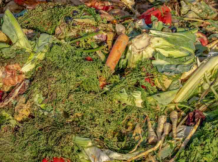 Limitare scarti alimentari per promuovere sostenibilità alimentare