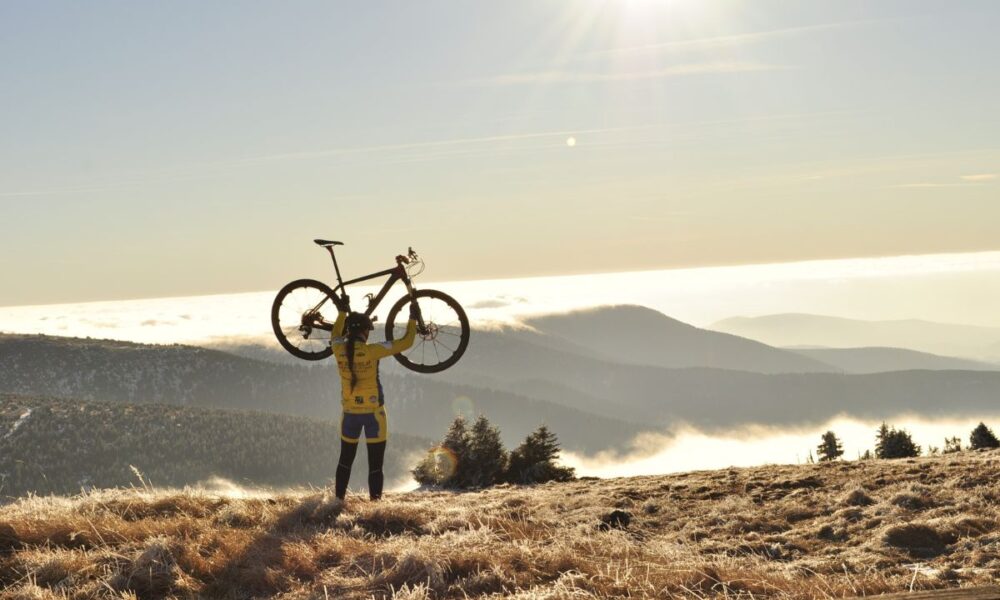 andare in bicicletta