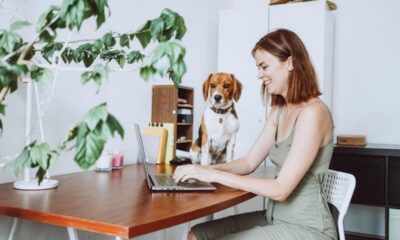 ragazza lavora al pc con il cane accanto