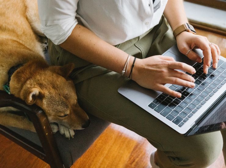 persona che digita al pc con un cane accanto