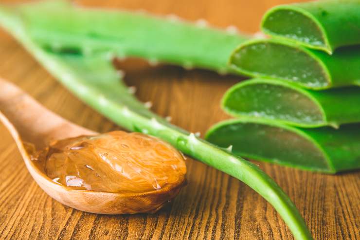 Gel aloe