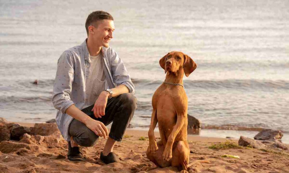 Comunicazione animali