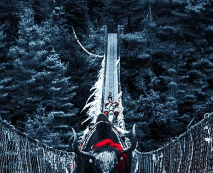 Ecco il ponte tibetano più lungo