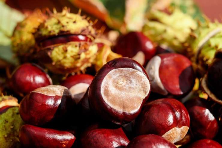 Ecco il rituale da fare con le castagne