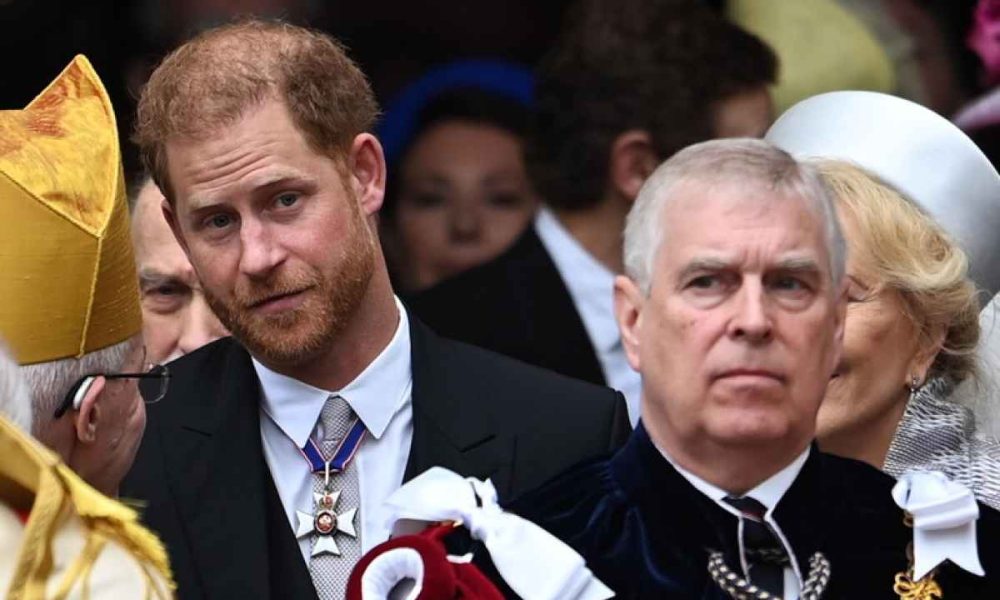 Principi Harry e Andrea