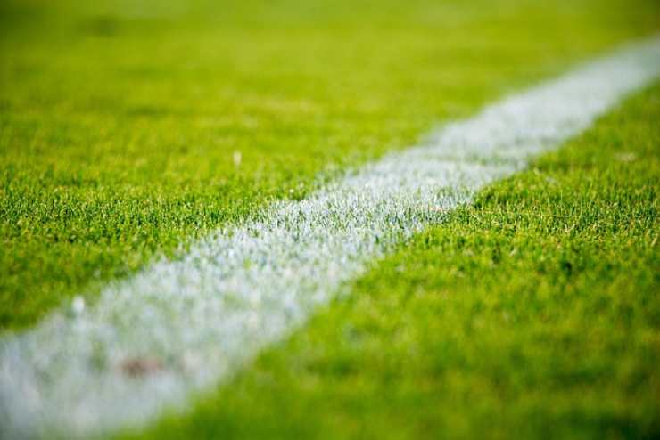 differenti tipi di calcio