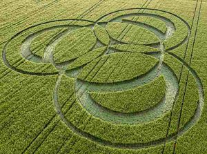 cerchi grano fenomeni insoliti