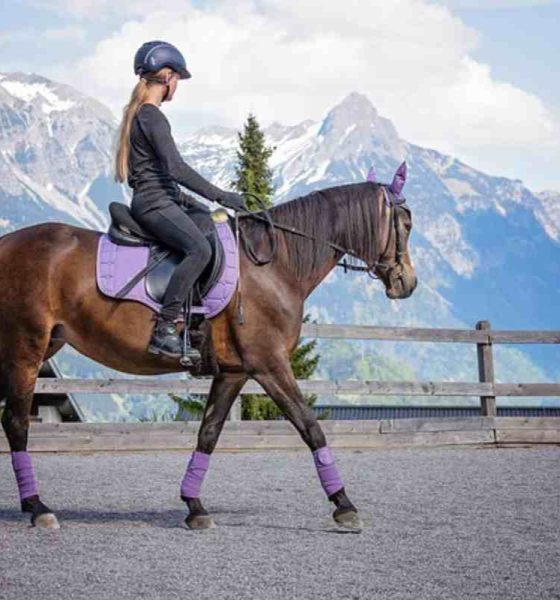 Sport equitazione