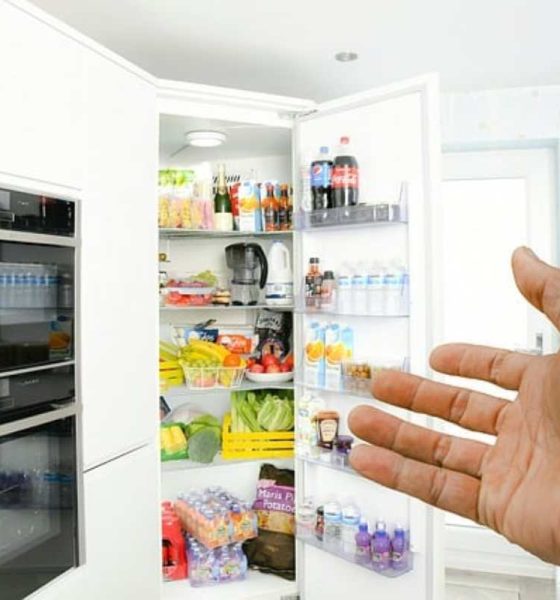 Cosa dobbiamo avere nel frigo