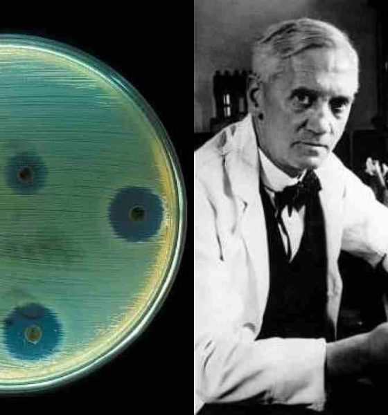 Scoperte pennicillina Fleming