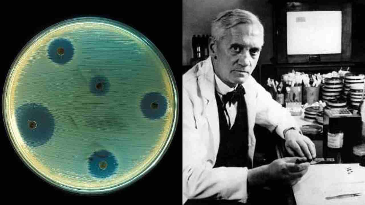 Scoperte pennicillina Fleming